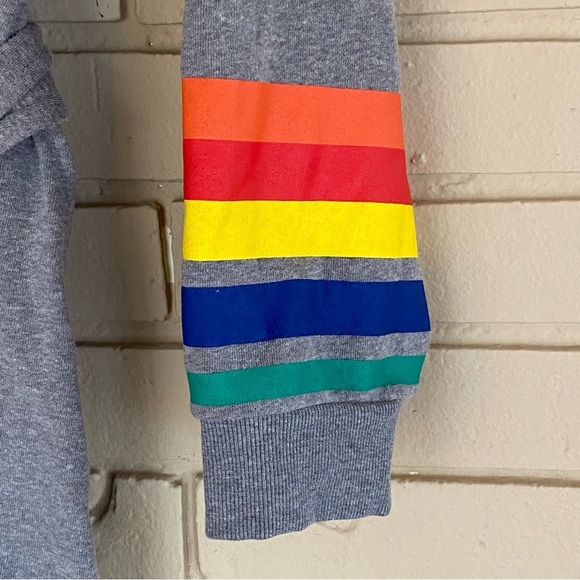 TORRID SHIFT SWEATSHIRT DRESS - COZY FLEECE RAINBOW CUFFED GREY BELTED SIZE 3X - Picture 4 of 10